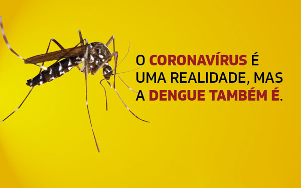 Levantamento de Índice Aedes Aegypti em Ibertioga – Informativo nº 01 (Janeiro/2021)