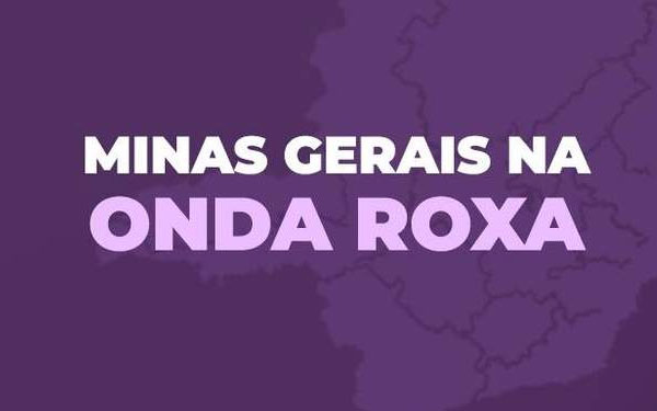 Recomendações para as atividades econômicas no período da Onda Roxa no município de Ibertioga